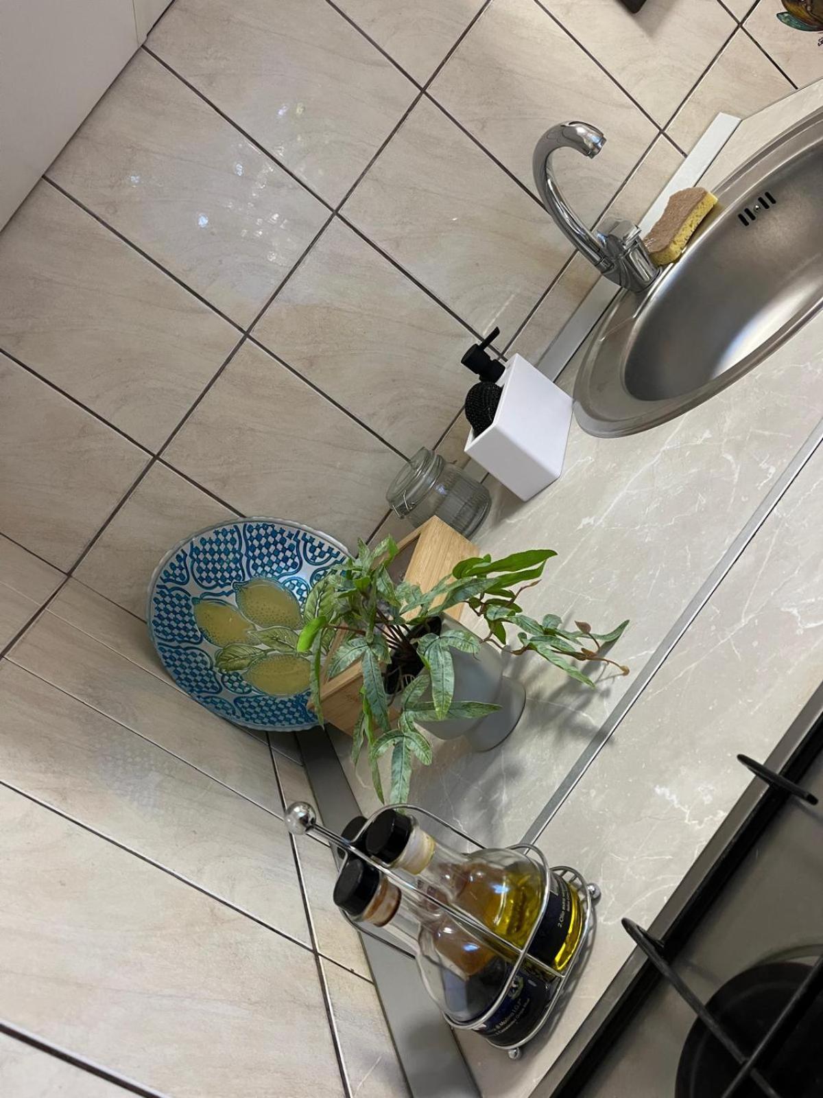 קריובה Apartament De Lux מראה חיצוני תמונה